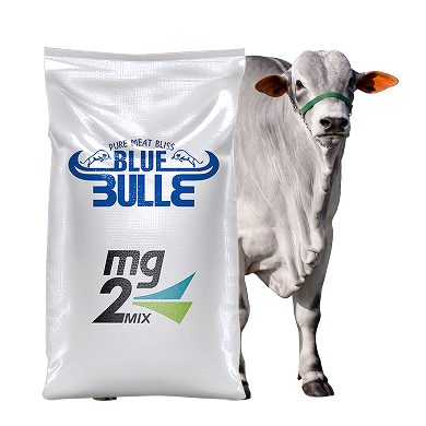 Blue bull