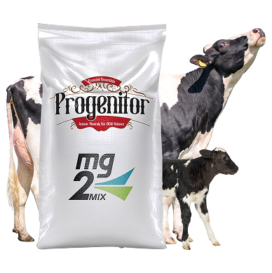 Proginator