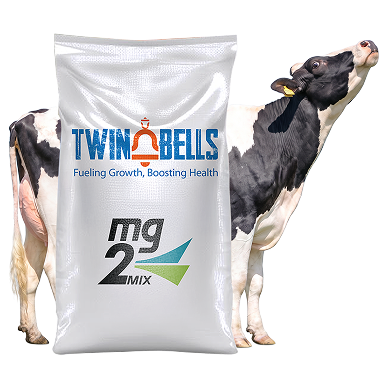 Twin bells