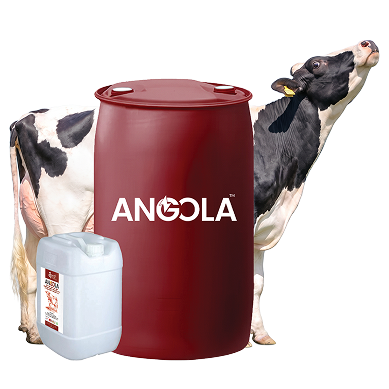 Angola