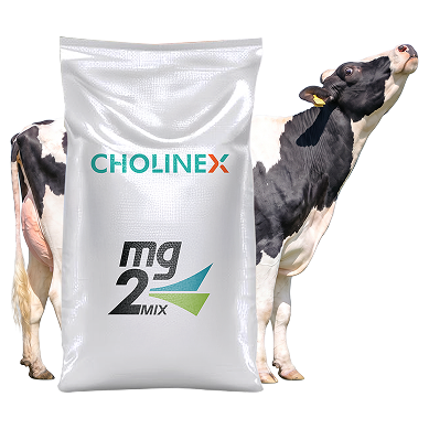 Cholinex